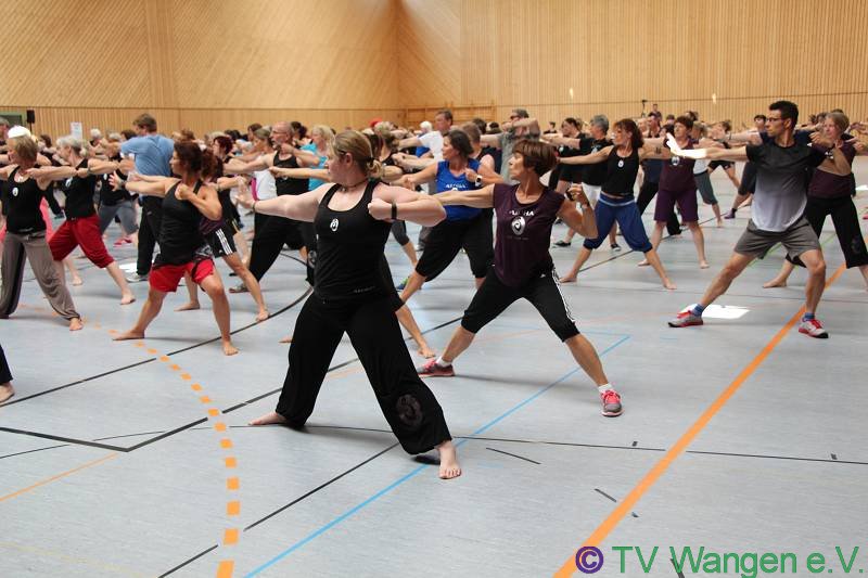 IMG_3154_(800_x_600)